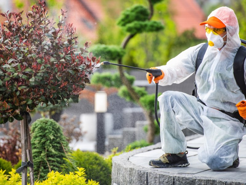 Çankaya Haşere İlaçlama